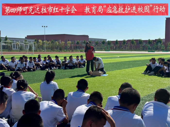 图片5