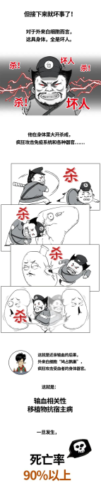 图片24