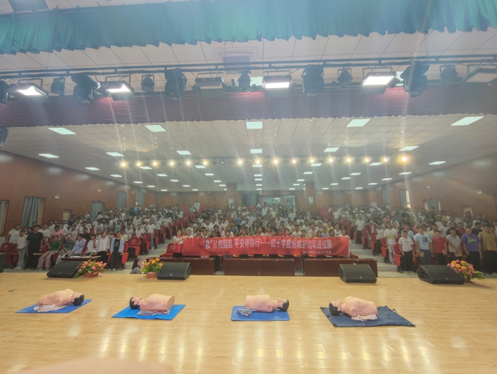 图片5 图片5