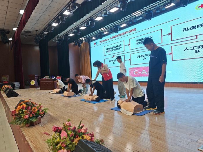 图片4 图片4