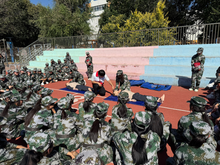 图片12 图片12