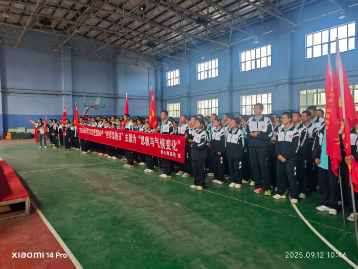 图片9