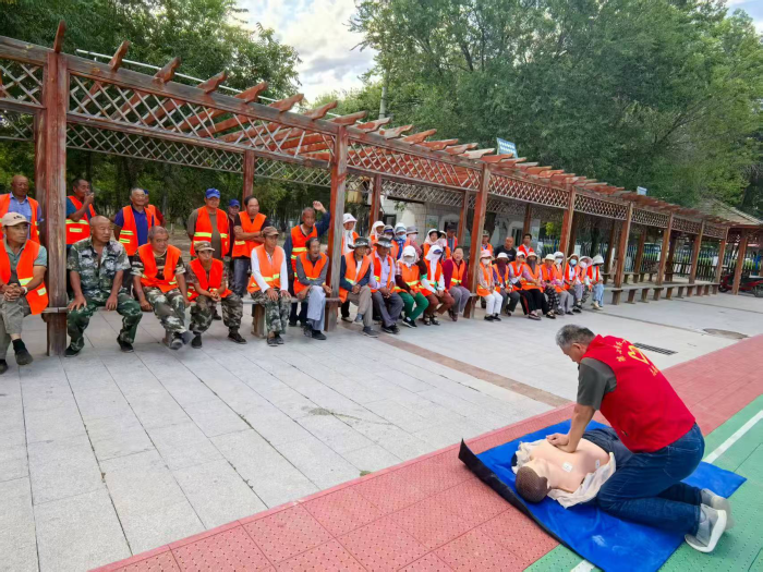 图片17